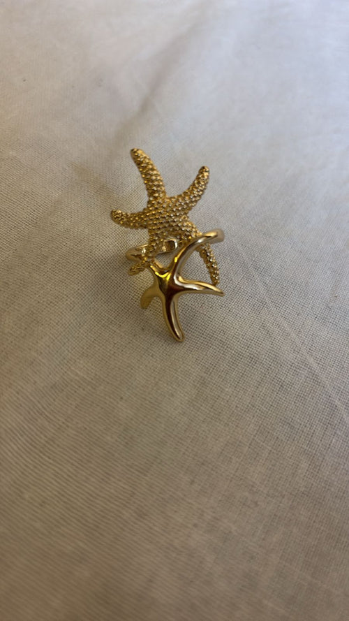 Anti tarnish double startfish ring